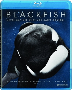 Blackfish-2013-blu-ray