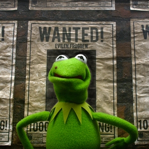 Muppets-Most-Wanted-Kermit